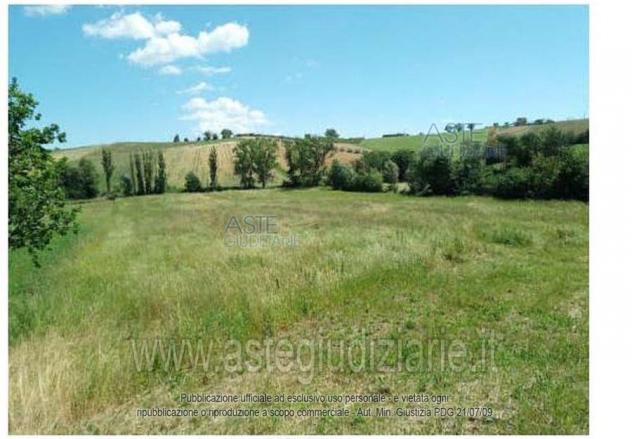terreno agricolo in vendita a Montecarotto