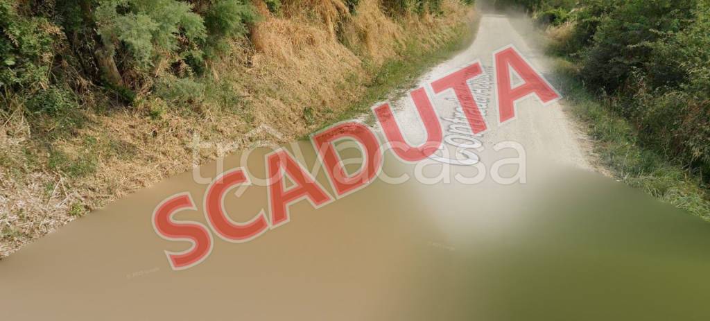 terreno agricolo in vendita a Montecarotto