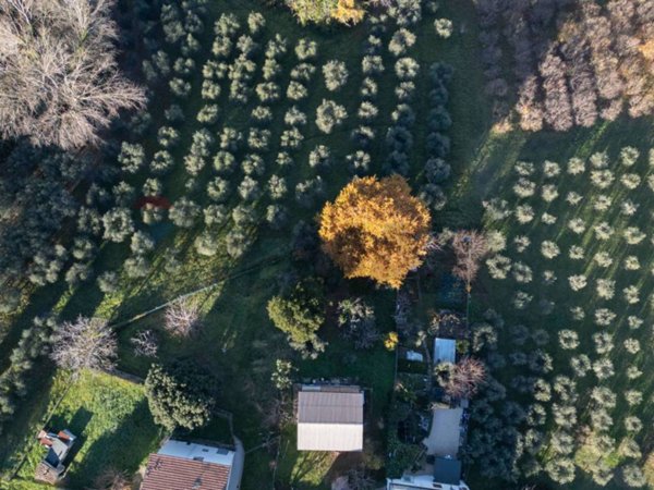 terreno agricolo in vendita a Montecarotto
