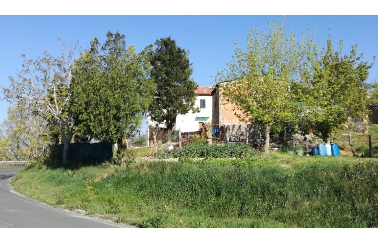 appartamento in vendita a Montecarotto