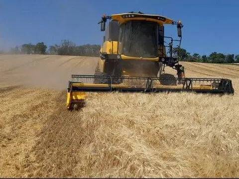terreno agricolo in vendita a Montecarotto