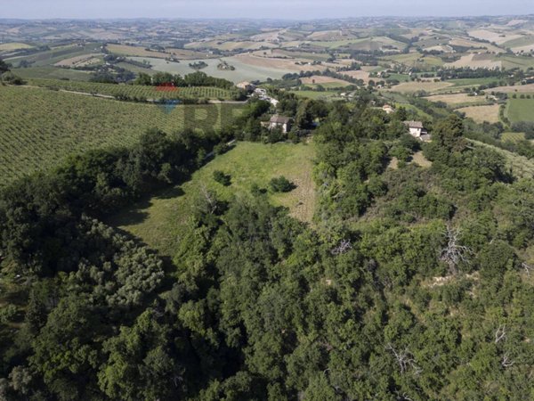 terreno agricolo in vendita a Montecarotto