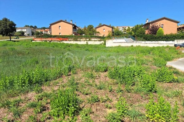 appartamento in vendita a Montemarciano