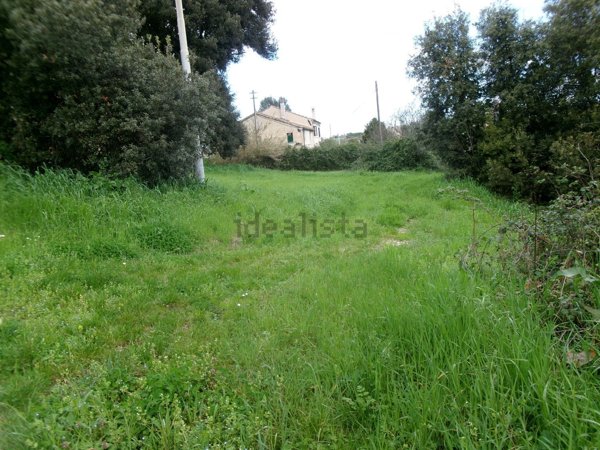 terreno agricolo in vendita a Montemarciano