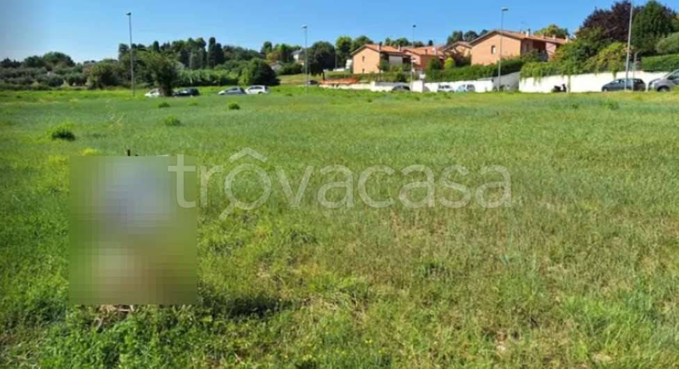 appartamento in vendita a Montemarciano