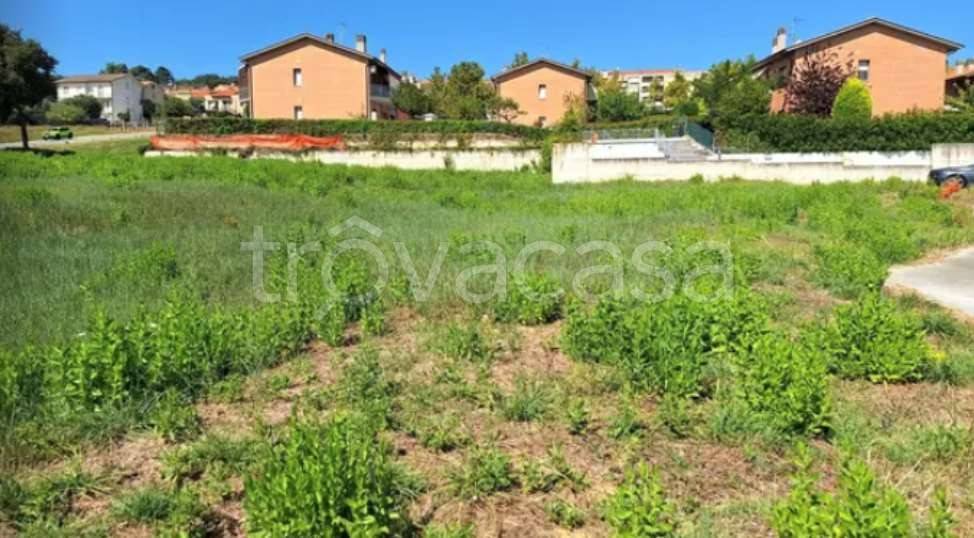 appartamento in vendita a Montemarciano