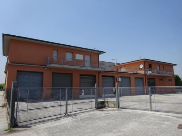 negozio in vendita a Montemarciano