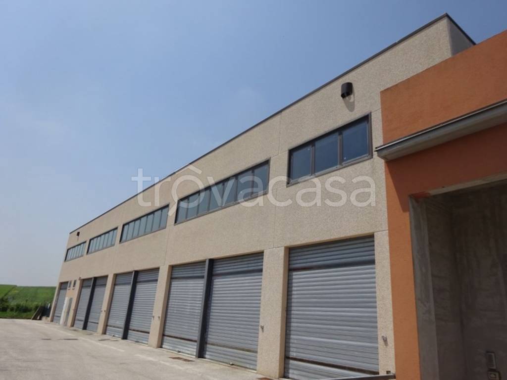 trivano in vendita a Montemarciano