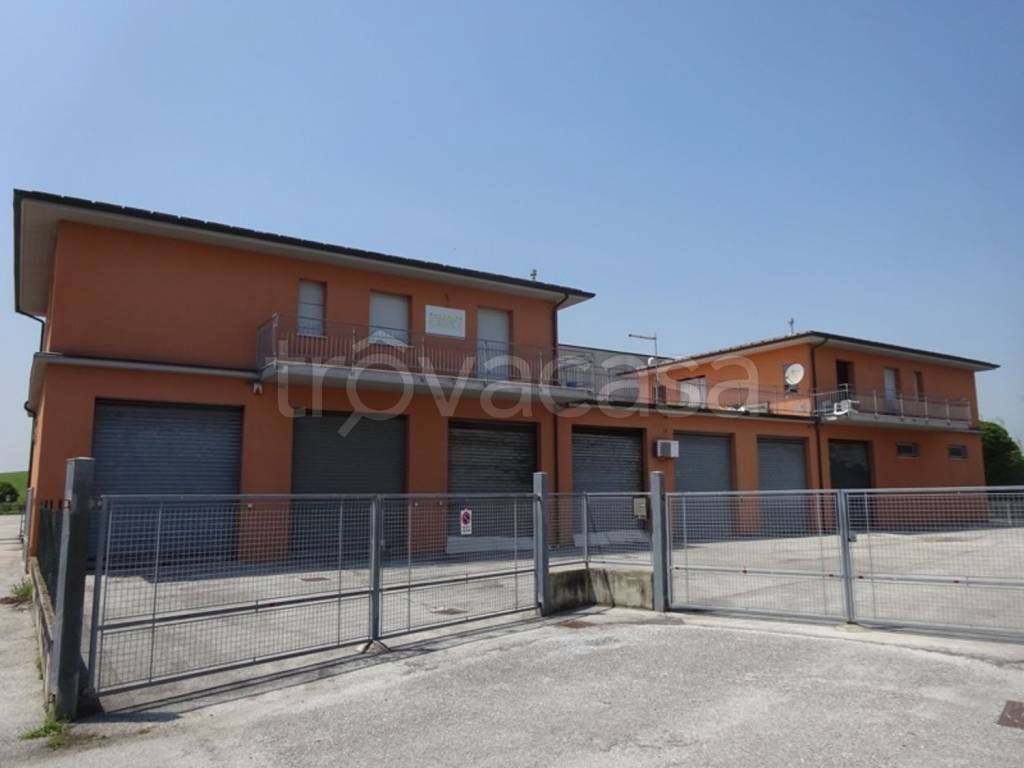 negozio in vendita a Montemarciano