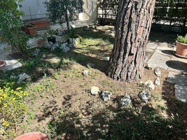 appartamento in vendita a Montemarciano