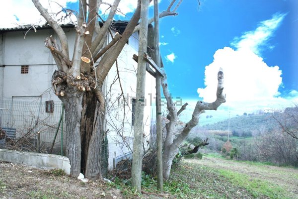 appartamento in vendita a Montemarciano