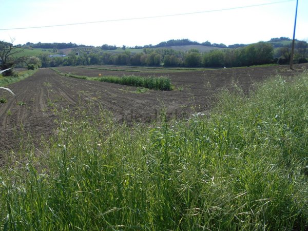 negozio in vendita a Montemarciano