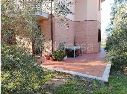 appartamento in vendita a Montemarciano in zona Cassiano