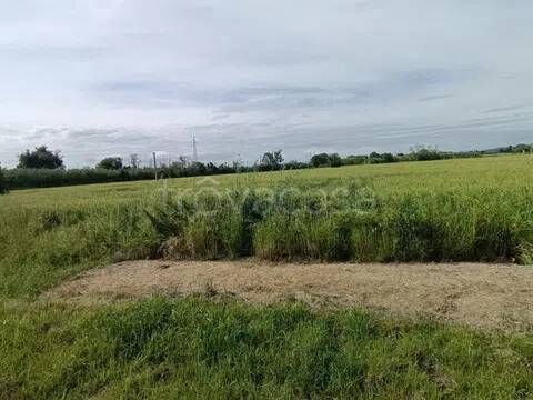 terreno agricolo in vendita a Montemarciano in zona Gabella
