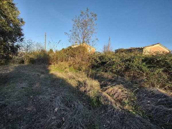 casa indipendente in vendita a Monte Roberto