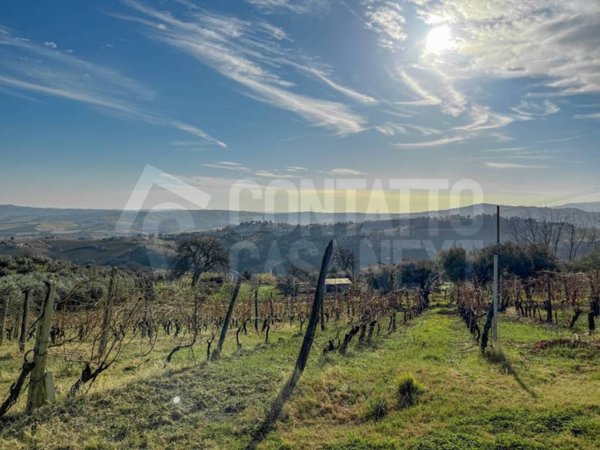 casa indipendente in vendita a Monte Roberto