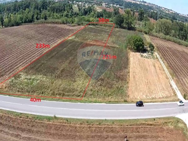 terreno agricolo in vendita a Monte Roberto in zona Pianello Vallesina