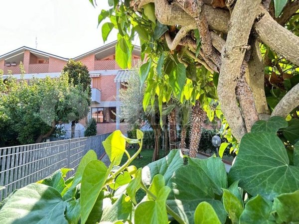 appartamento in vendita a Monte Roberto