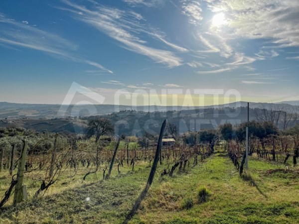 casa indipendente in vendita a Monte Roberto