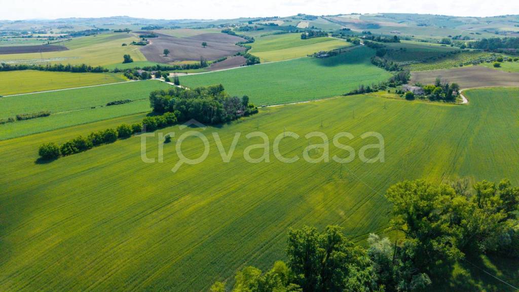 terreno agricolo in vendita a Monte Roberto in zona Sant'Apollinare