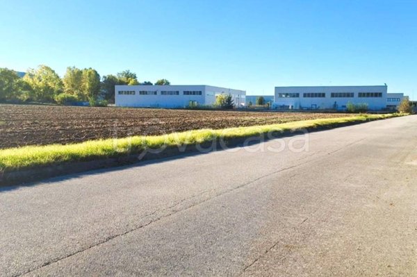 terreno agricolo in vendita a Monte Roberto in zona Sant'Apollinare
