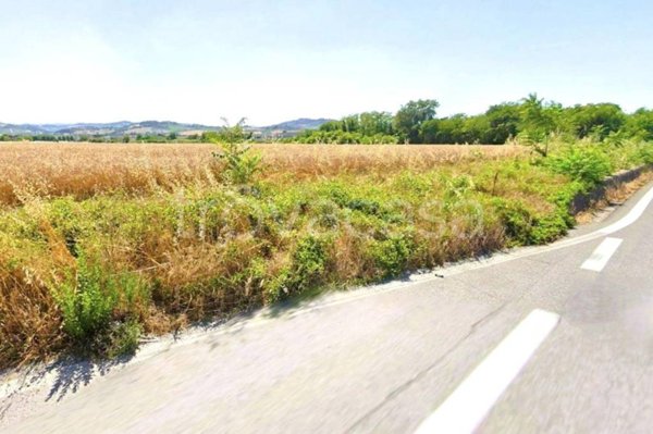 terreno agricolo in vendita a Monte Roberto in zona Sant'Apollinare