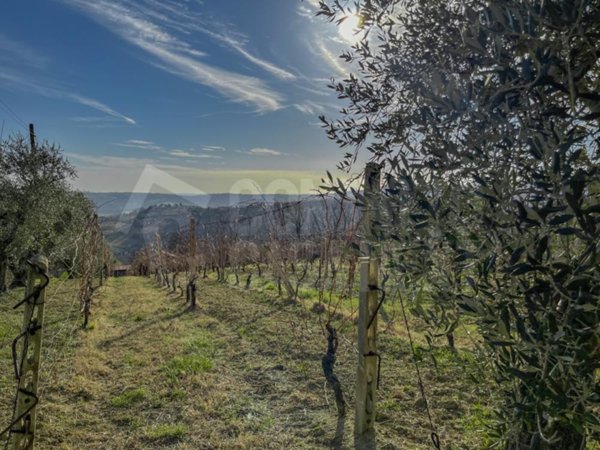 casa indipendente in vendita a Monte Roberto