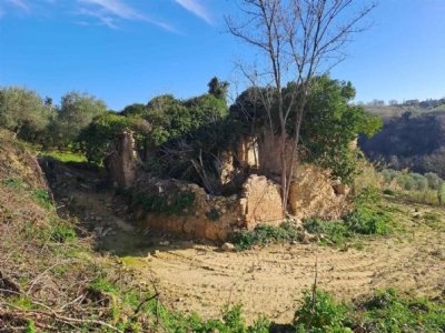 esavano in vendita a Monte Roberto in zona Pianello Vallesina
