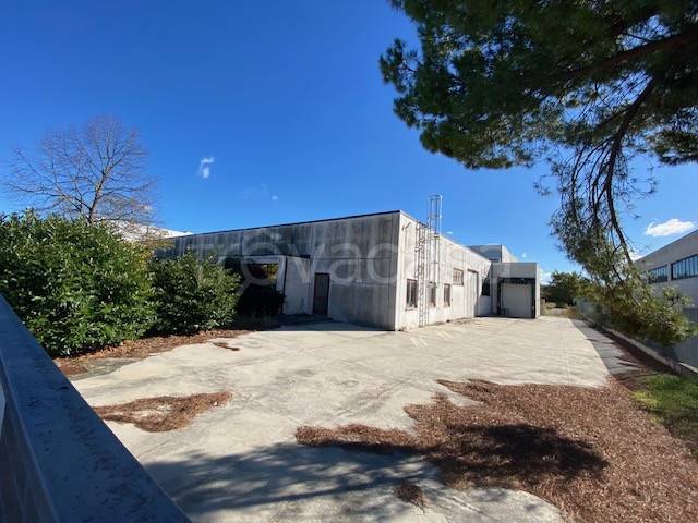 locale commerciale in vendita a Monte Roberto