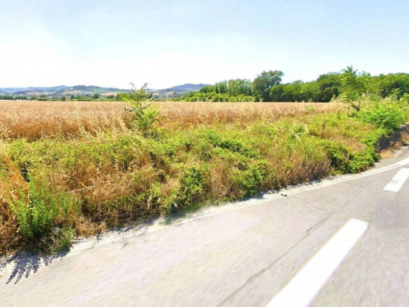 terreno agricolo in vendita a Monte Roberto