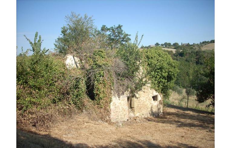 casa indipendente in vendita a Monte Roberto