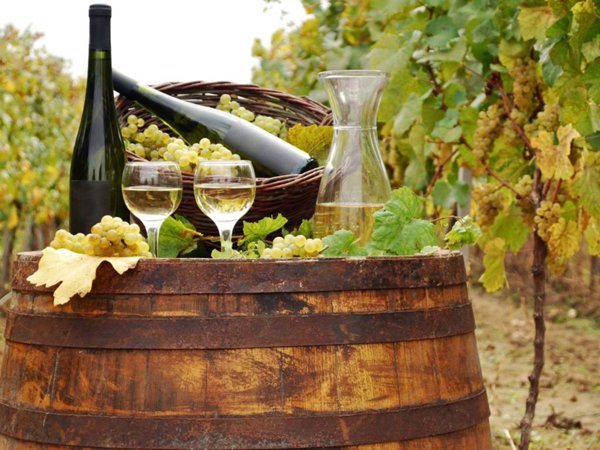 casa indipendente in vendita a Monte Roberto