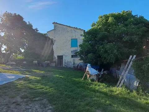 terreno agricolo in vendita a Monte Roberto in zona Pianello Vallesina