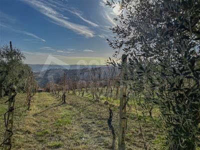 ufficio in vendita a Monte Roberto in zona Sant'Apollinare