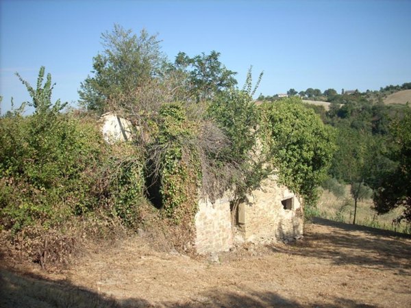 casa indipendente in vendita a Monte Roberto