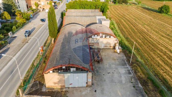 appartamento in vendita a Monte San Vito in zona Borghetto