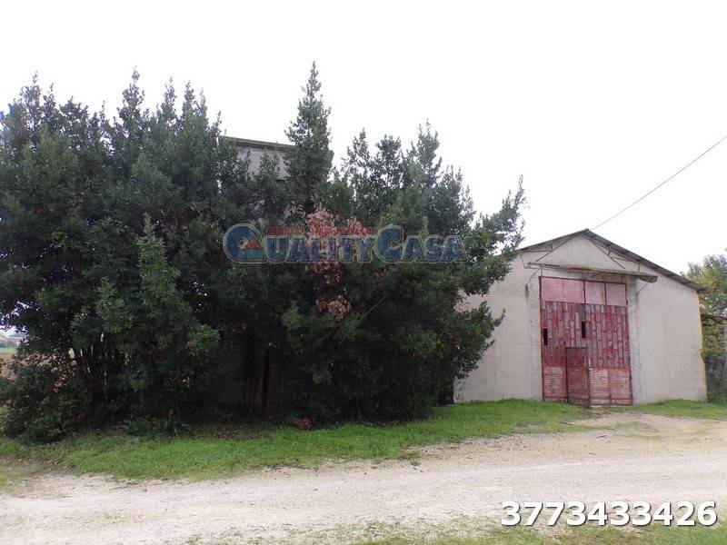 locale commerciale in vendita a Monte San Vito