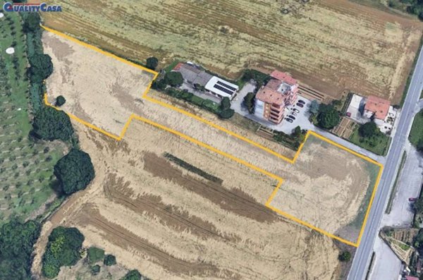 terreno agricolo in vendita a Monte San Vito in zona Le Cozze
