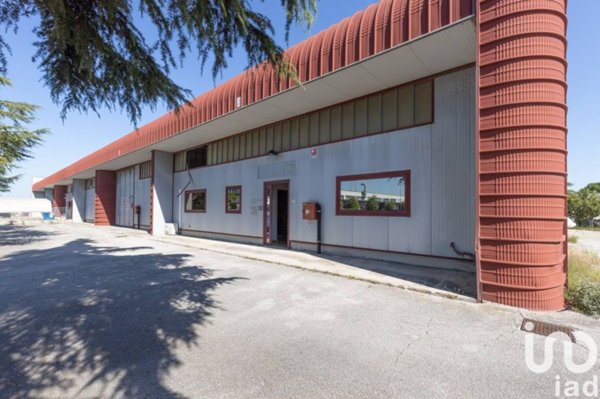 locale commerciale in vendita a Monte San Vito