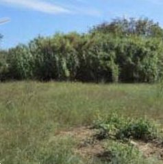 appartamento in vendita a Monte San Vito in zona Borghetto