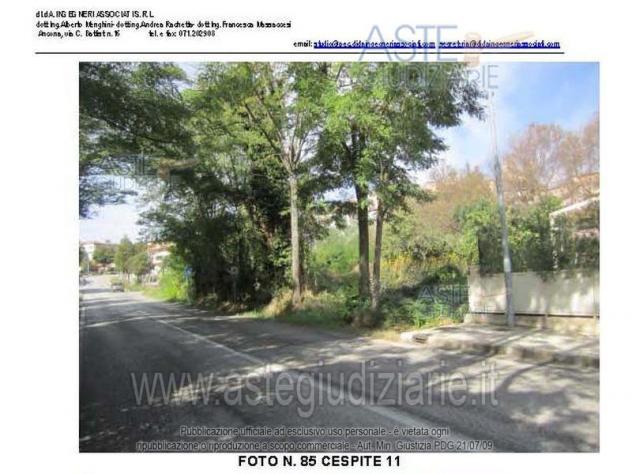 terreno agricolo in vendita a Monte San Vito