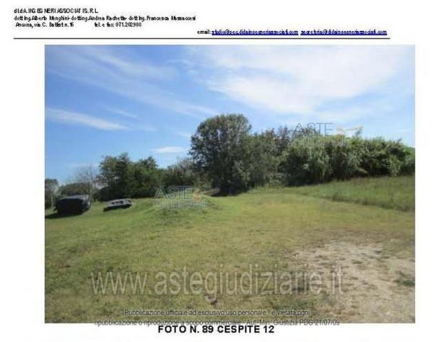 terreno agricolo in vendita a Monte San Vito in zona Borghetto