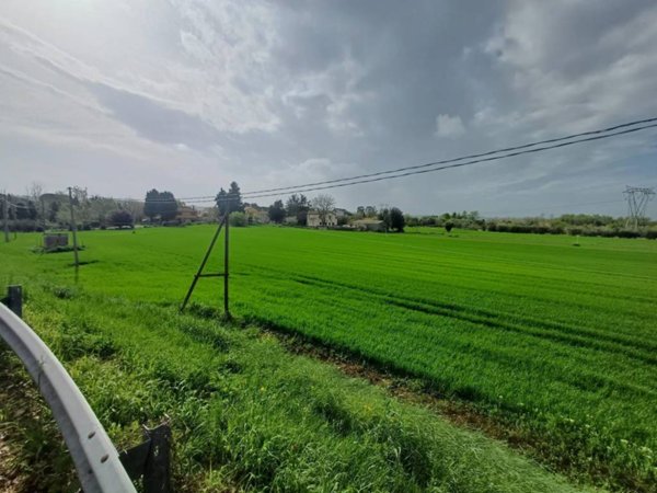 terreno agricolo in vendita a Monte San Vito