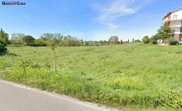 terreno agricolo in vendita a Monte San Vito in zona Le Cozze