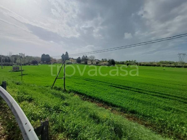 terreno agricolo in vendita a Monte San Vito