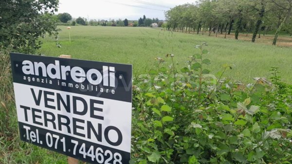 terreno agricolo in vendita a Monte San Vito