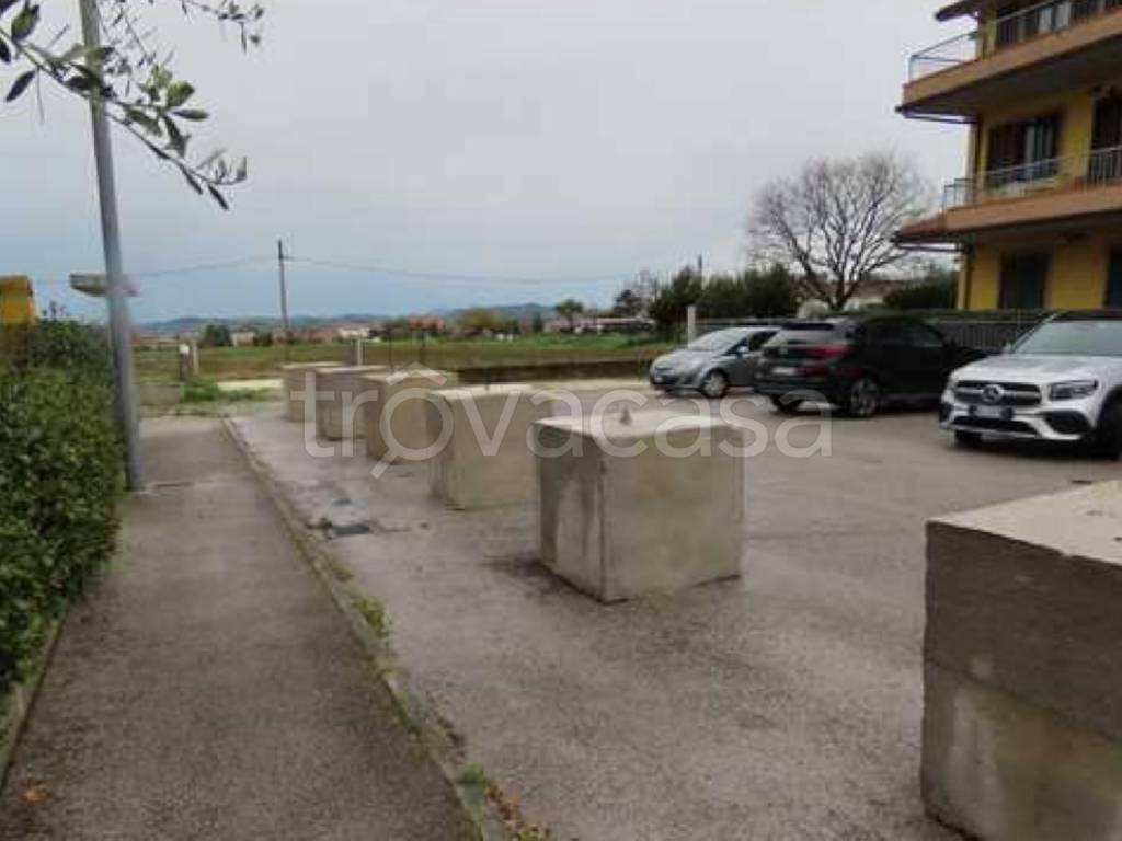 terreno agricolo in vendita a Monte San Vito