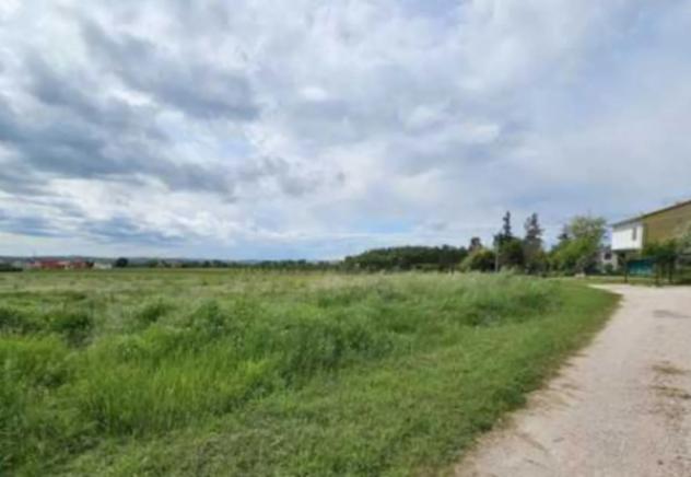 terreno agricolo in vendita a Monte San Vito in zona Borghetto