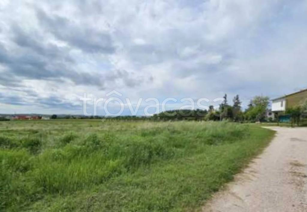 terreno agricolo in vendita a Monte San Vito in zona Borghetto