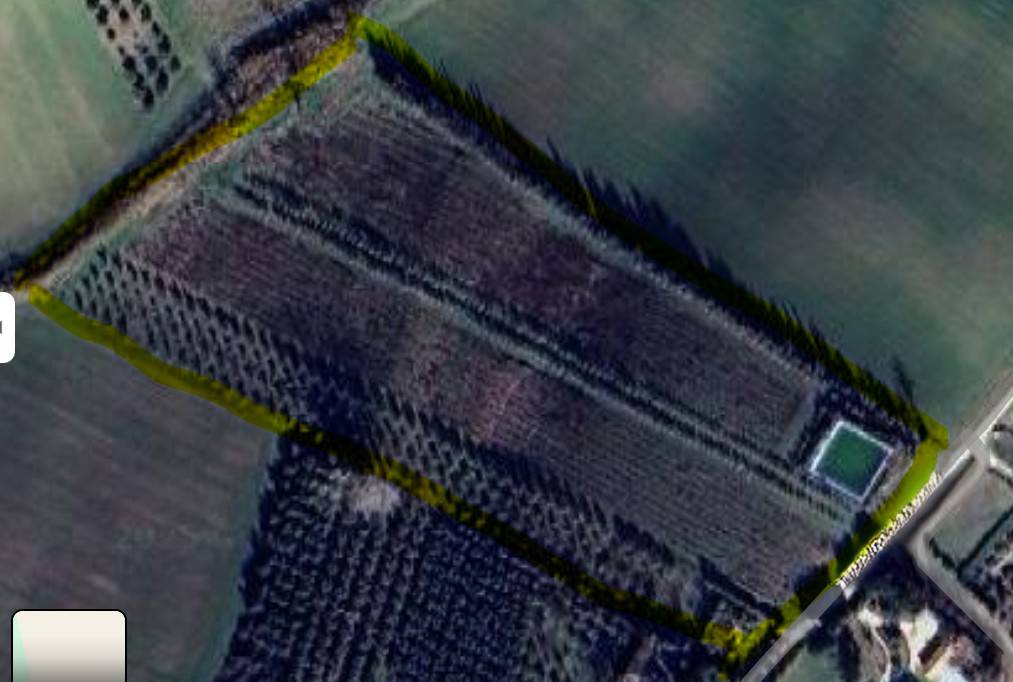 terreno agricolo in vendita a Monte San Vito